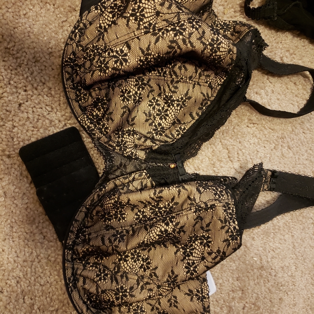36GG elomi bra